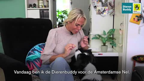 Nicolette Kluijver is Dierenbuddy van hond Job